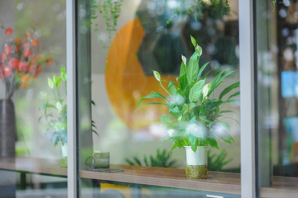 Votre guide habitat écolo : astuces déco et travaux verts