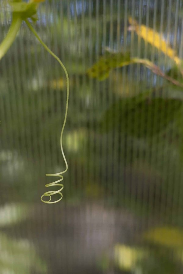 Comment les techniques de tissage traditionnelles peuvent-elles être adaptées pour créer des vêtements modernes ?