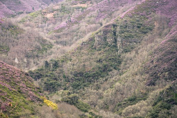 Comment établir un plan de succession efficace pour une entreprise familiale?